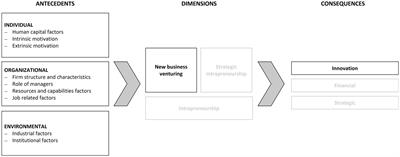 Neither entrepreneurship nor intrapreneurship: a review of how to become an innovative split-off start-up